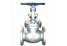 Globe Valves