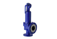 Security valves